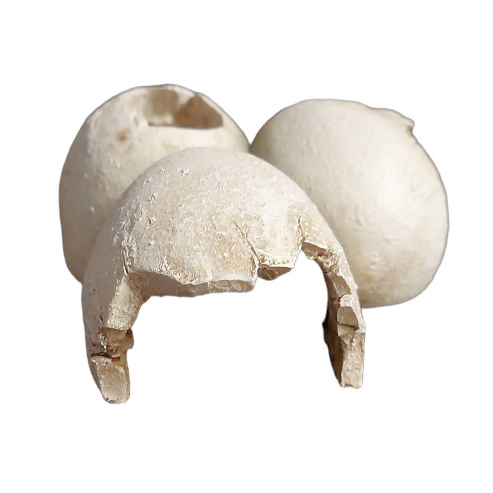 Trixie - Grotte en motif coquille d'œuf 15 x 6 x 12 cm pour reptiles - Image 3