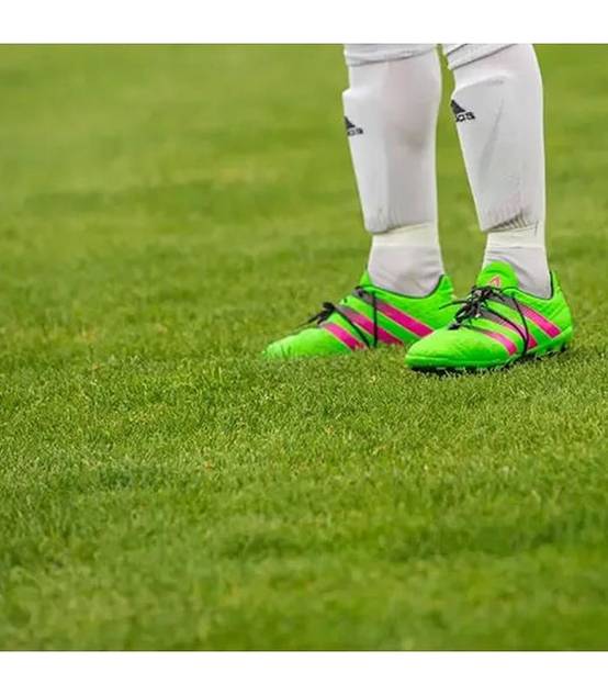 Engrais pour développement racinaire 25kg RACINE F-ENG031 - Image 7