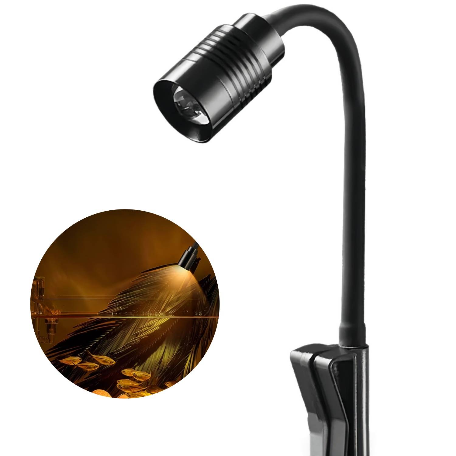 DtopbuyAge - Éclairage LED Boxtech 3W Réglable - Nano Aquariums DtopbuyAge - Image 1