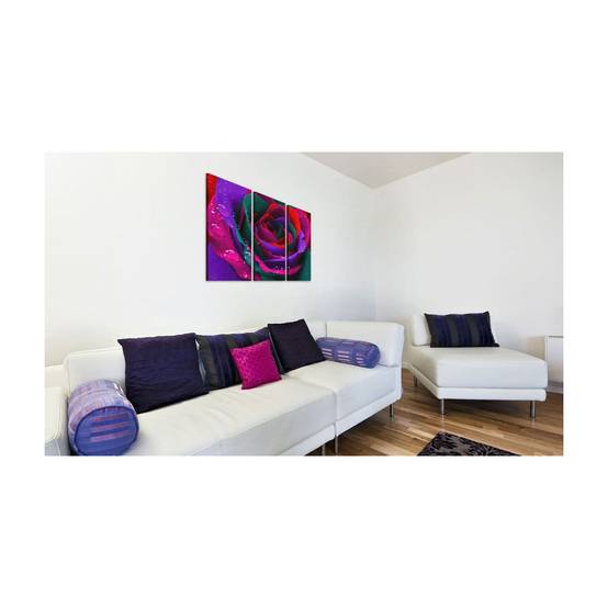 Tableau Imprimé "Rose Irisée" 40 x 60 cm - Image 2