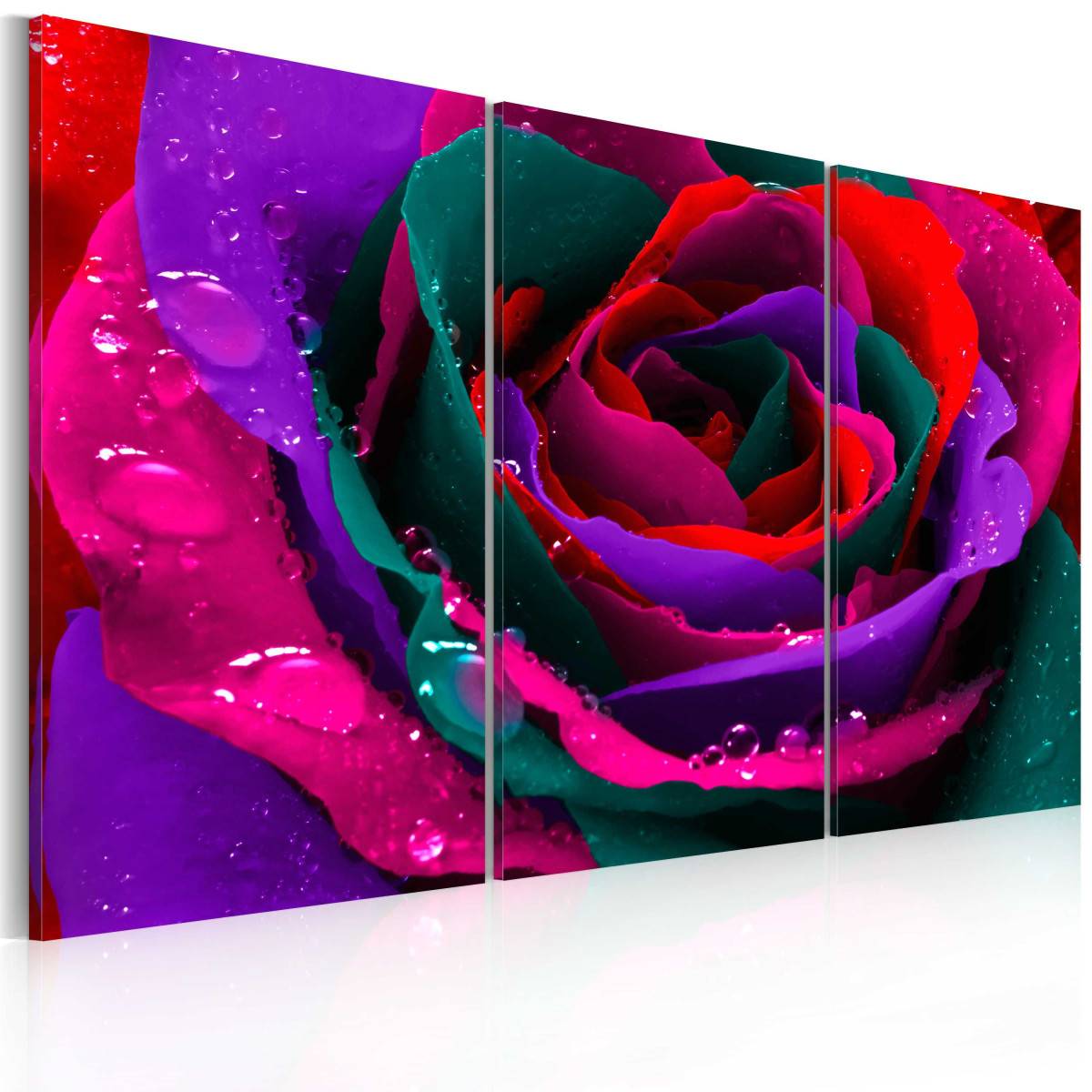 Tableau Imprimé "Rose Irisée" 40 x 60 cm - Image 1
