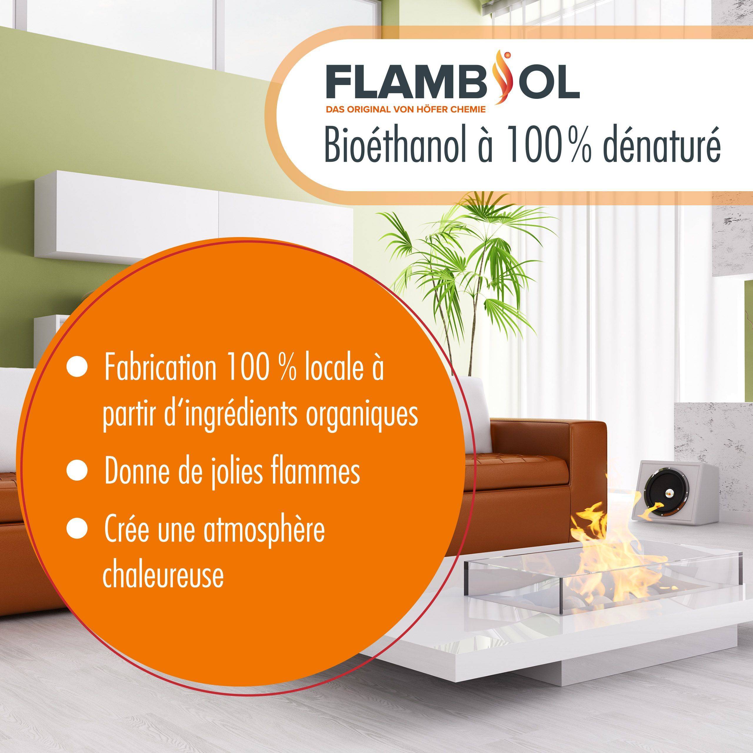 Bioéthanol à 96,6% dénaturé FLAMBIOL® en bouteille de 1L x 6 - Image 2