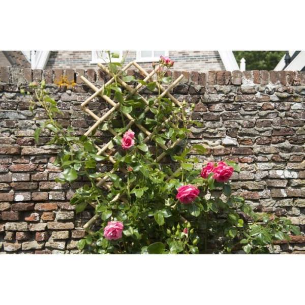 Treillis extensible - NATURE - En bambou - 70 x 180 cm - Image 3