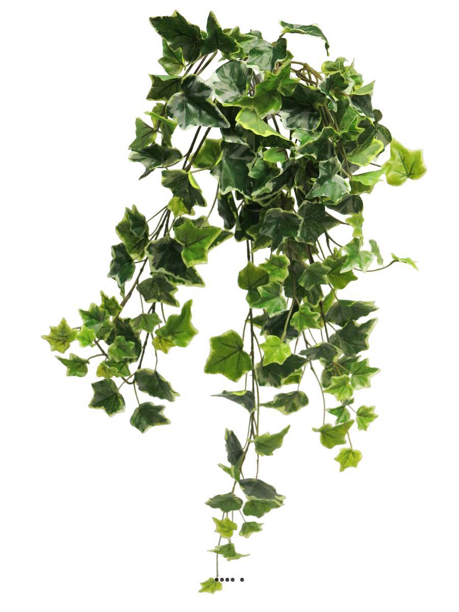 Lierre artificiel en chute, 7 ramures, L 70 cm Panaché - BEST - couleur: Blanc-vert - Image 3