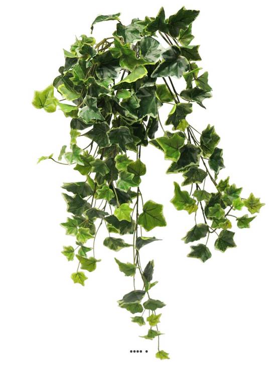 Lierre artificiel en chute, 7 ramures, L 70 cm Panaché - BEST - couleur: Blanc-vert - Image 2