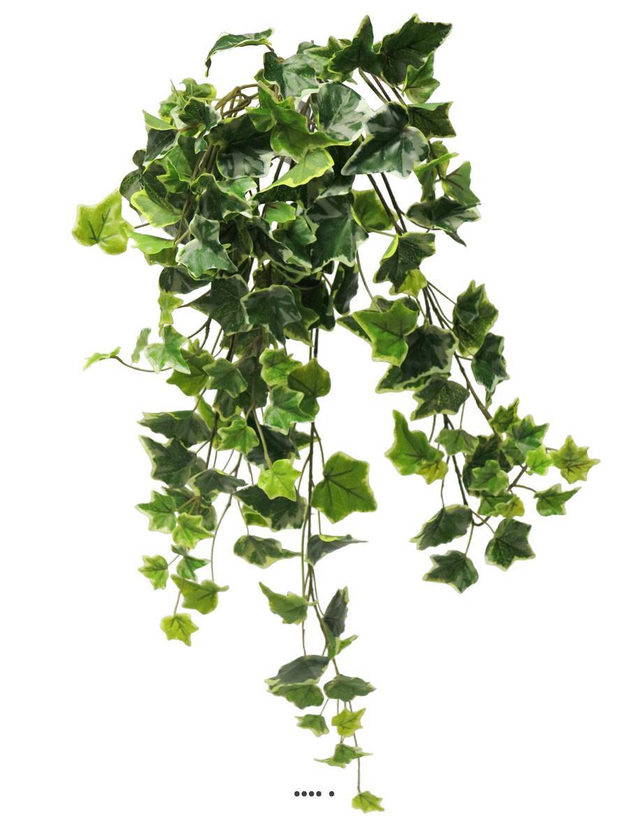 Lierre artificiel en chute, 7 ramures, L 70 cm Panaché - BEST - couleur: Blanc-vert - Image 2