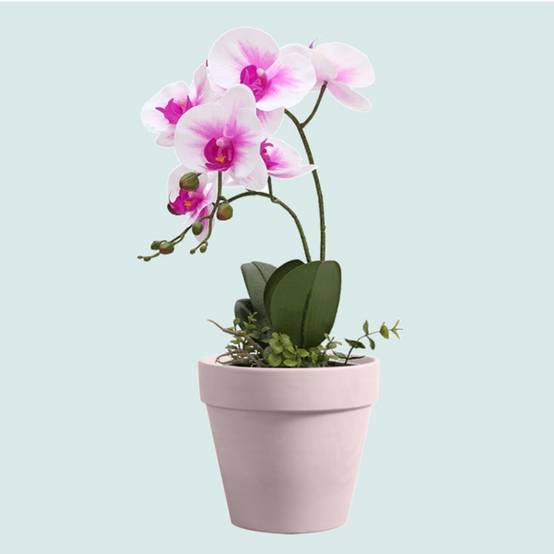 Pot de Fleurs Rond 1,2 Litres - IntiMeg - Image 3