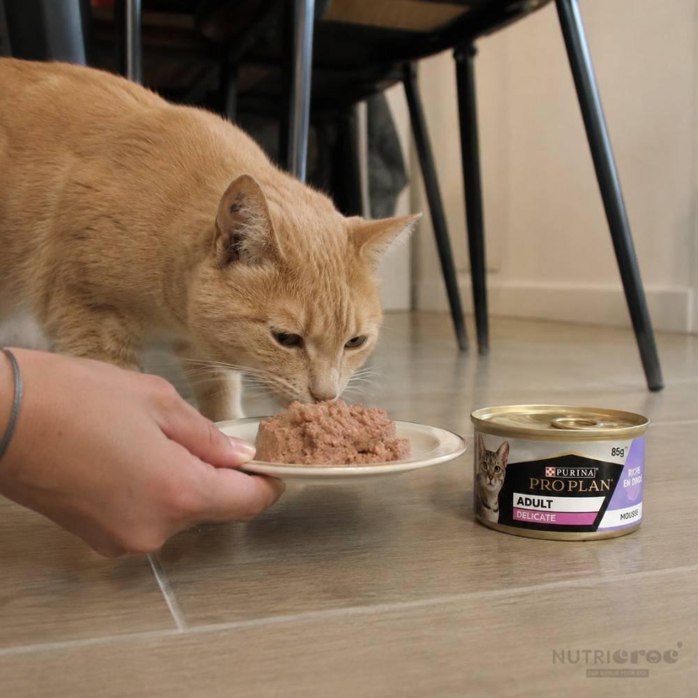 Delicate Mousse Dinde Chat 85g - PURINA PROPLAN 24*85 g - Image 2