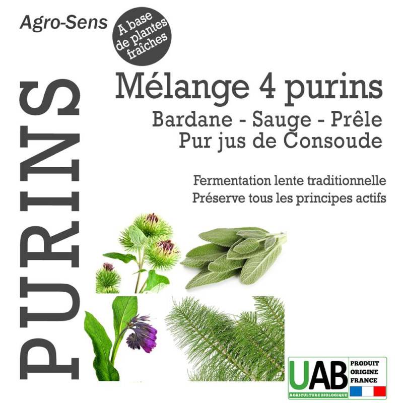 Mélange de 4 purins concentré, consoude, prêle, bardane et sauge - 1 Litre - Image 2
