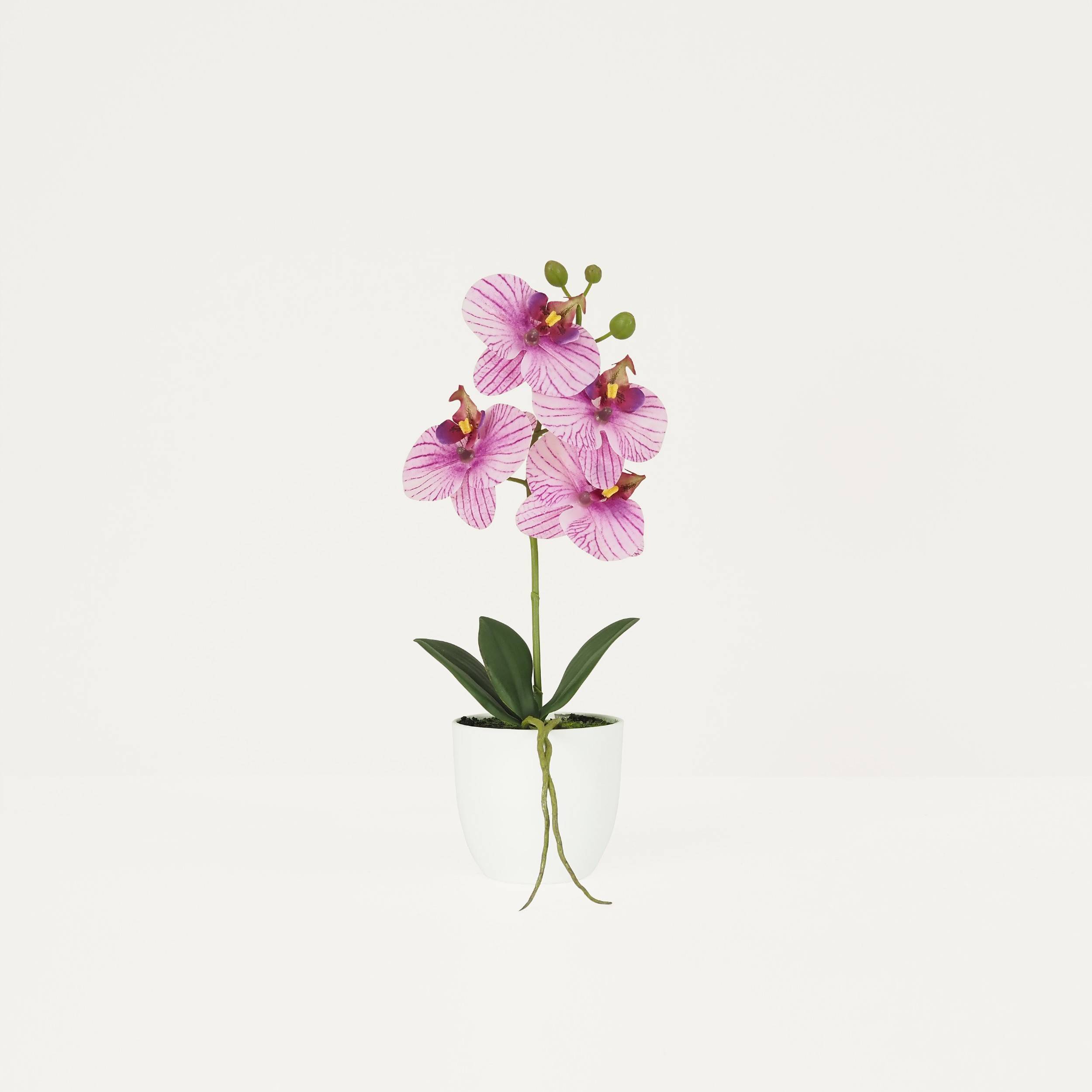 Ligne Deco - Orchidée artificielle veinée 35cm Ligne Déco - Image 1