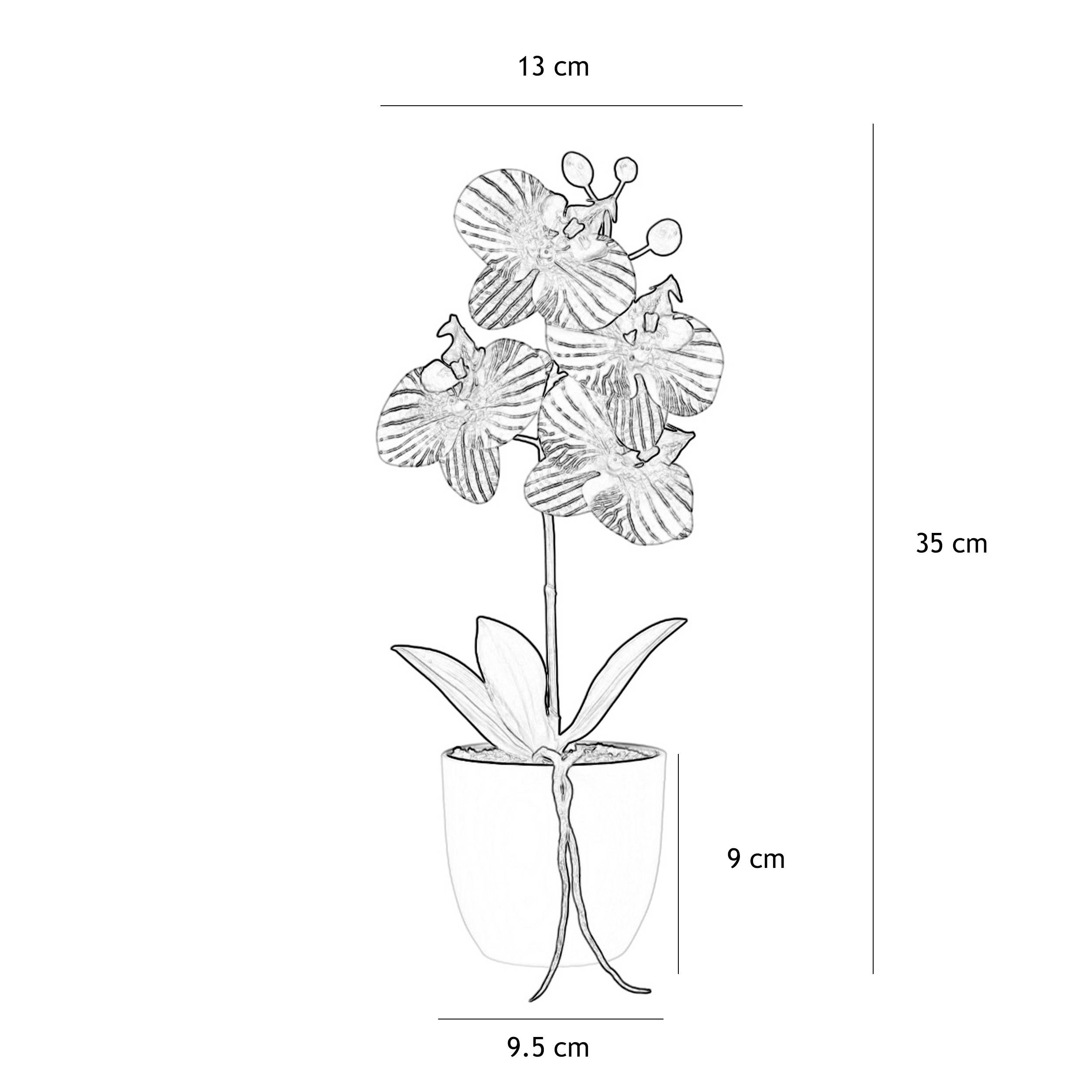 Ligne Deco - Orchidée artificielle veinée 35cm Ligne Déco - Image 4