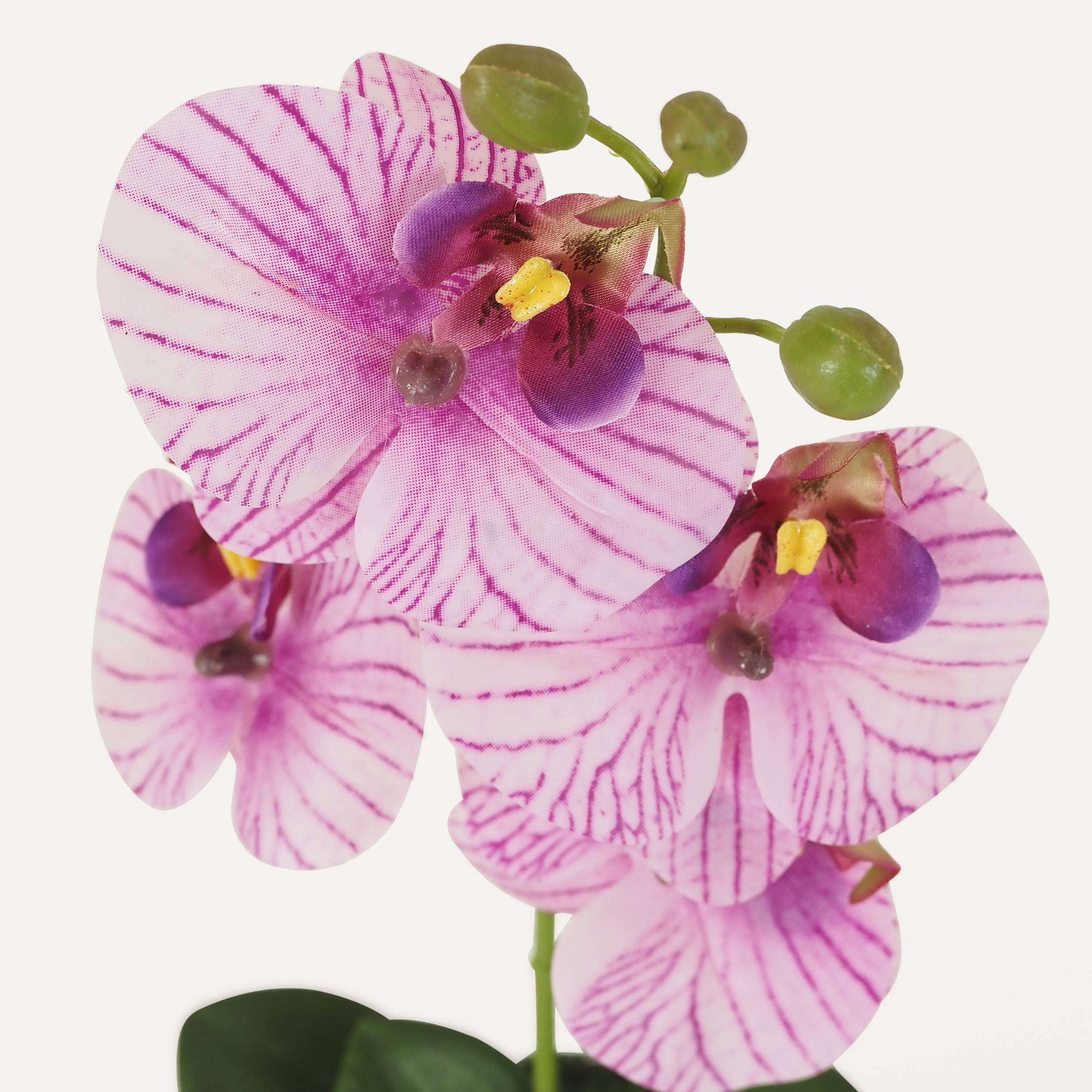Ligne Deco - Orchidée artificielle veinée 35cm Ligne Déco - Image 3