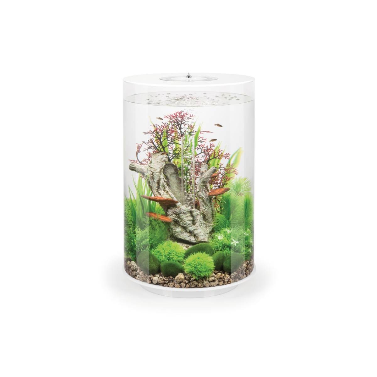 Oase - Aquarium décoratif 30l blanc TUBE 30 MCR WHITE Oase - Image 1