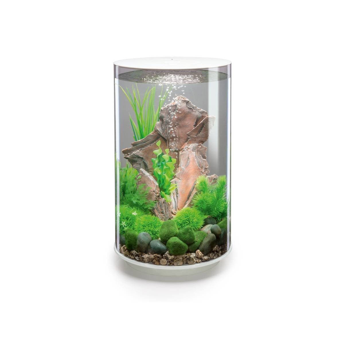 Oase - Aquarium décoratif 30l blanc TUBE 30 MCR WHITE Oase - Image 2