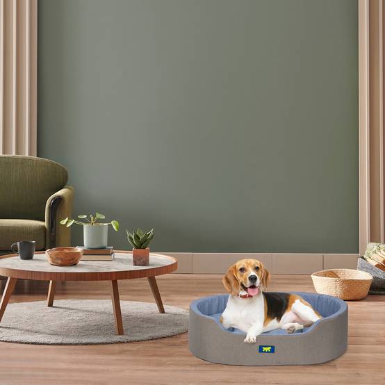 Ferplast - Ferplast Panier Chien Dandy, Coussin Amovible et Lavable, Housse en Coton avec Rembourrage Doux, Lit Chiens Moyen, 80 x 55 x H 18 cm, Bleu Clair - Image 3