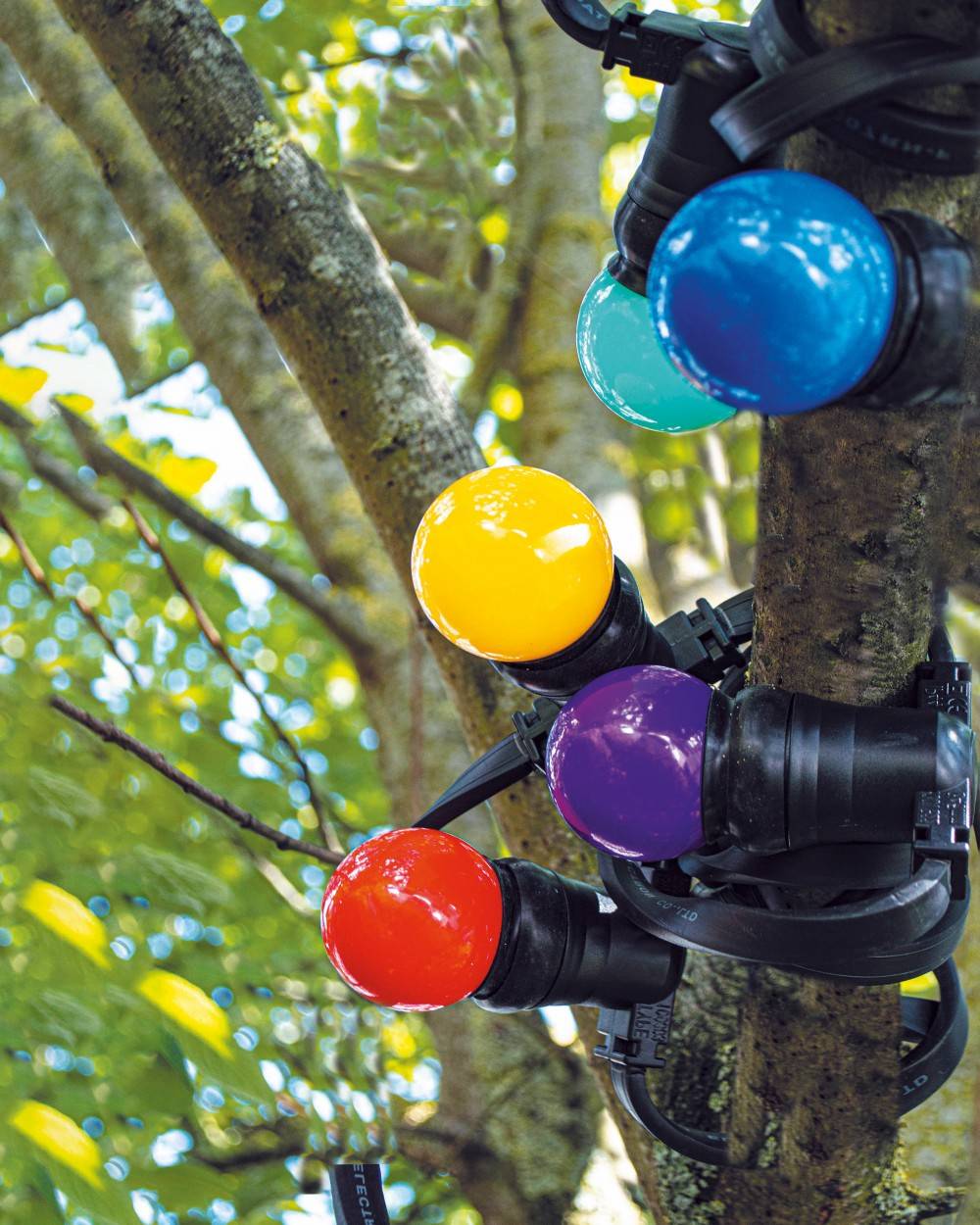 Tibelec - Guirlande extérieure 10 ampoules B22 multicolor 300 Lumens Pro 10m TIBELEC TIBELEC - Image 3