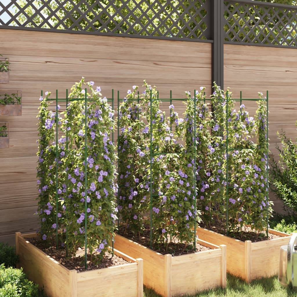 Lot de 6 Cages à Tomates en Acier Support Vertical Ajustable pour Potager et Serre Vert 116 cm – ComfortXL Outdoor Living - Image 3