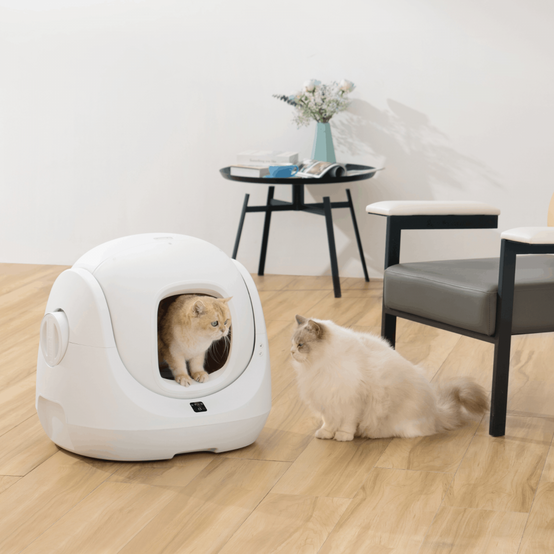 Catlink Scooper Baymax SE Litière automatique pour chats CATLINK - Image 2