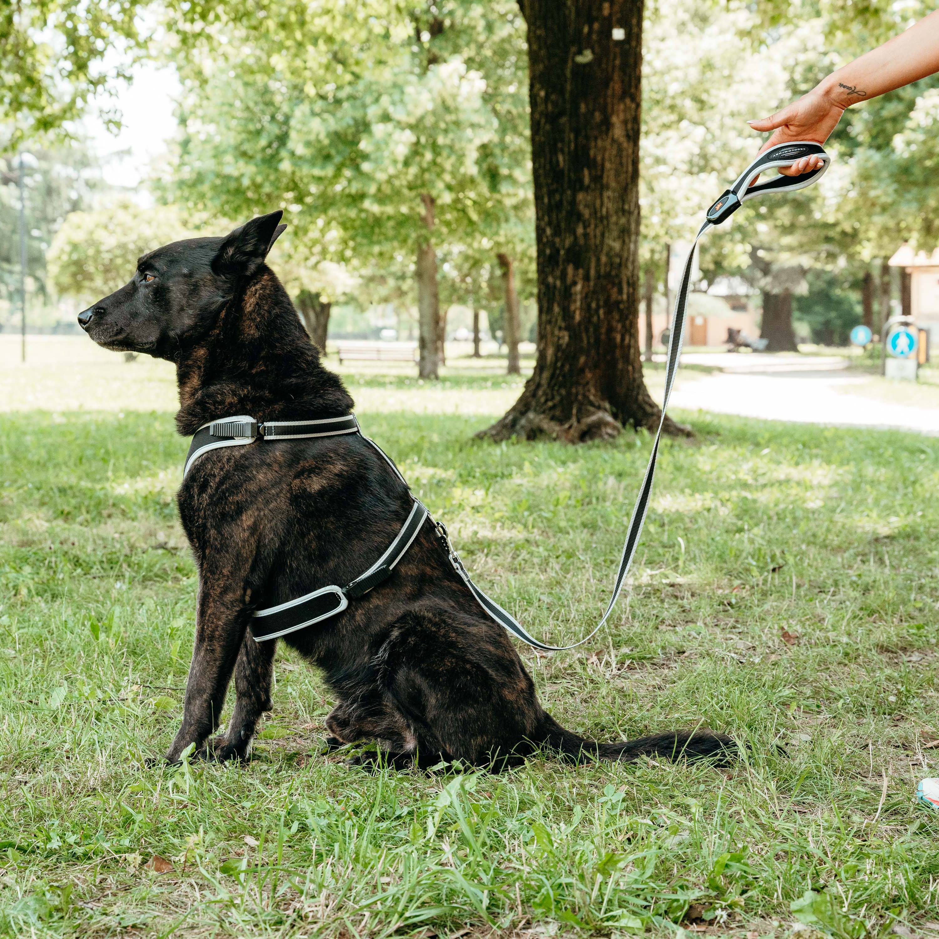 Ferplast - Ferplast Laisse pour chien en nylon ERGOCOMFORT G15/120, Poignée ergonomique, Rembourrage doux, Longueur 120 cm x 2 cm, Argent - Image 3