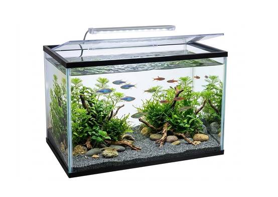 Kit Aquarium rectangulaire 16L avec filtre, gravier et épuisette - Image 7