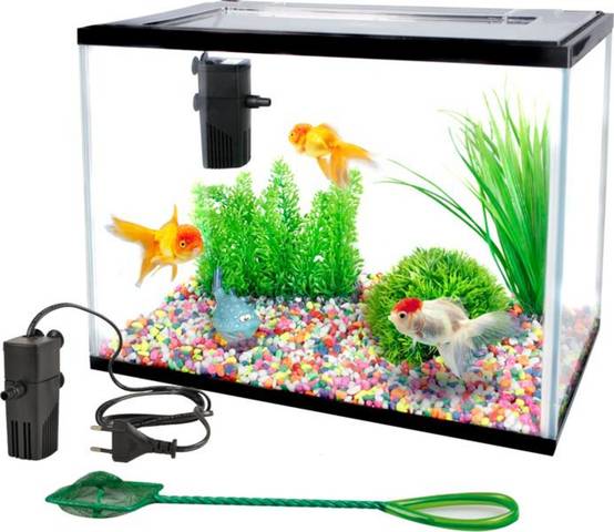 Kit Aquarium rectangulaire 16L avec filtre, gravier et épuisette - Image 2