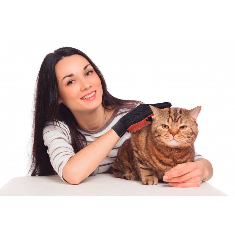 Gant Brossage Animaux- VENTEO - Image 2
