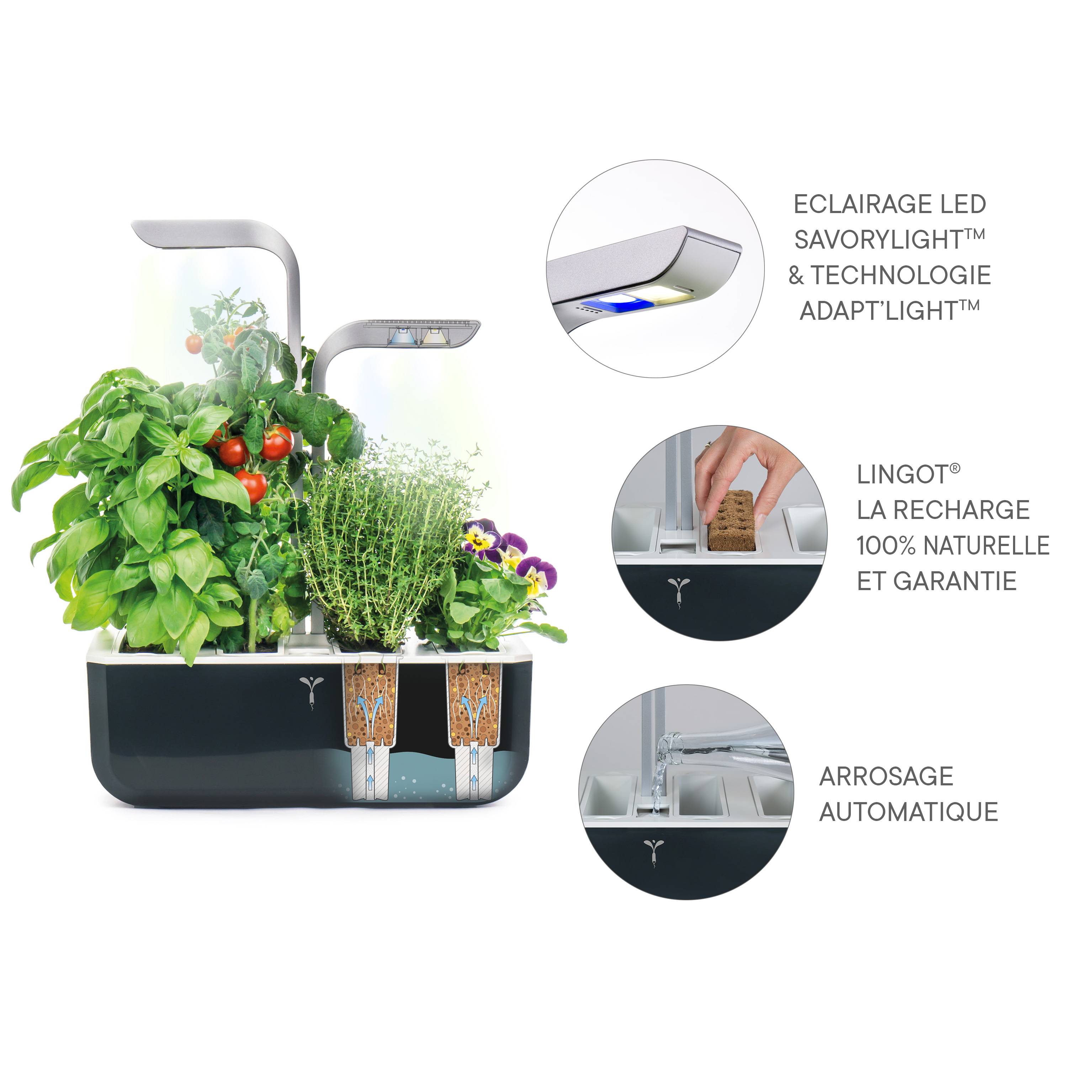 Veritable - Potager d'intérieur Autonome Véritable SMART Soft Black - Livré avec 4 Lingots - Véritable - Image 5