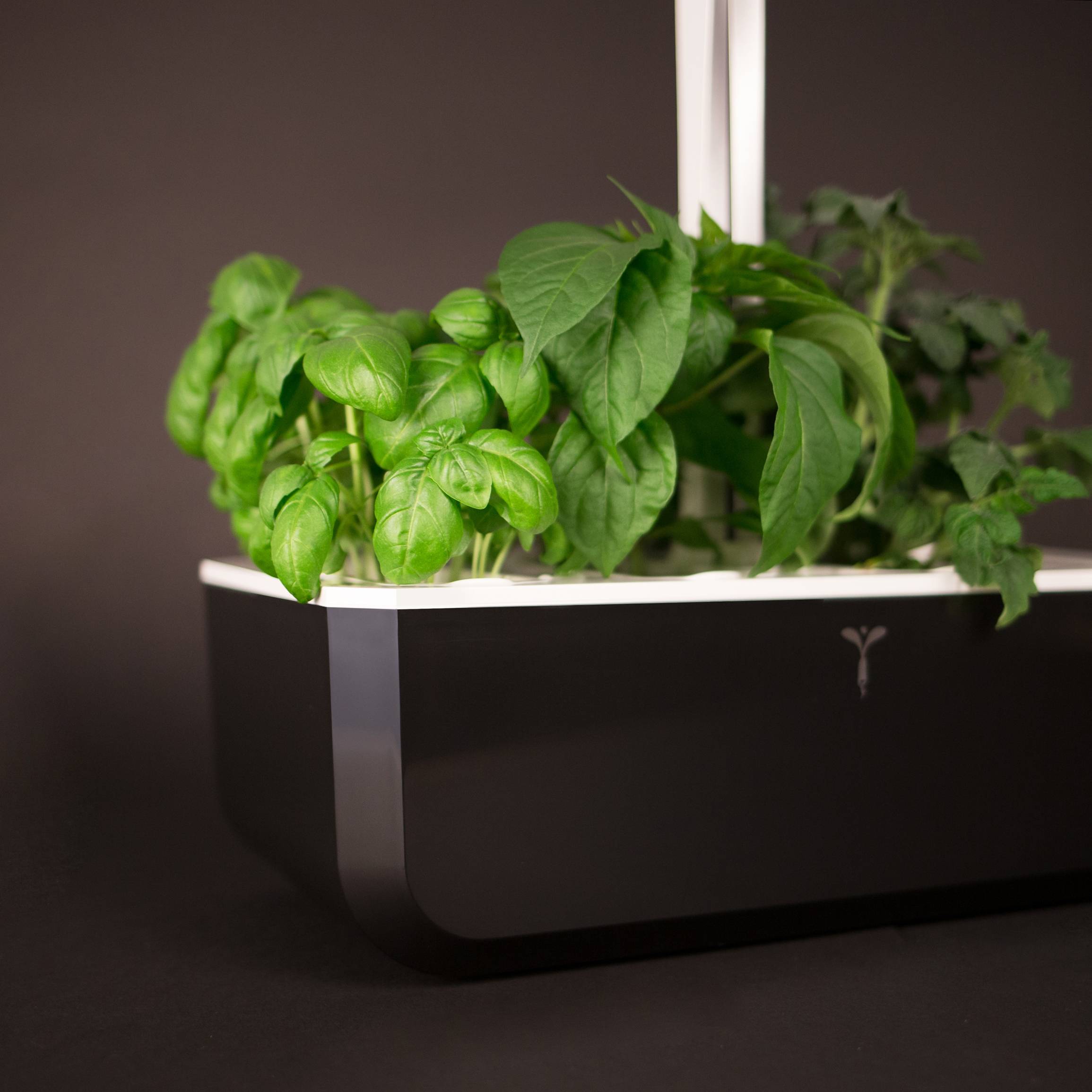 Veritable - Potager d'intérieur Autonome Véritable SMART Soft Black - Livré avec 4 Lingots - Véritable - Image 3