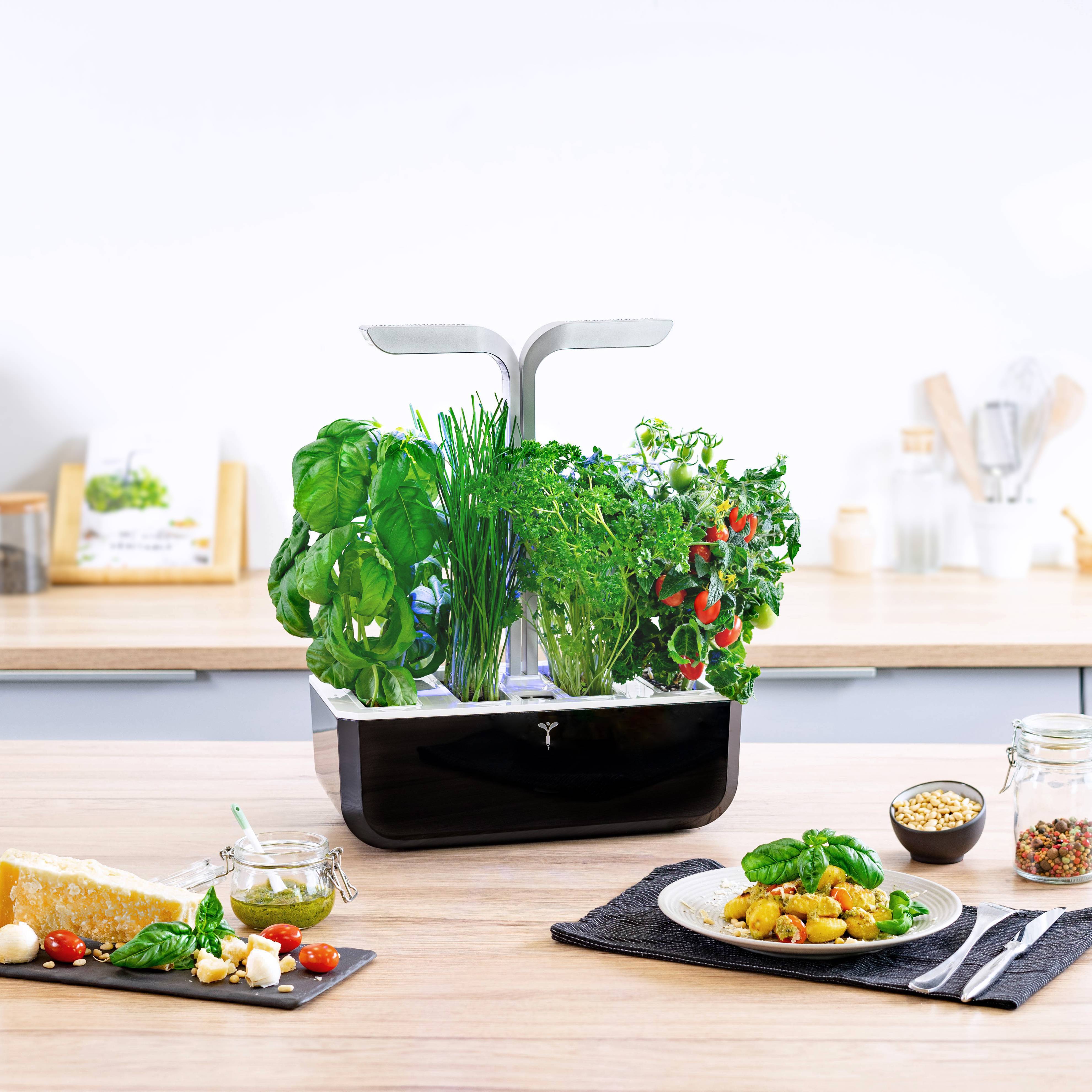 Veritable - Potager d'intérieur Autonome Véritable SMART Soft Black - Livré avec 4 Lingots - Véritable - Image 2