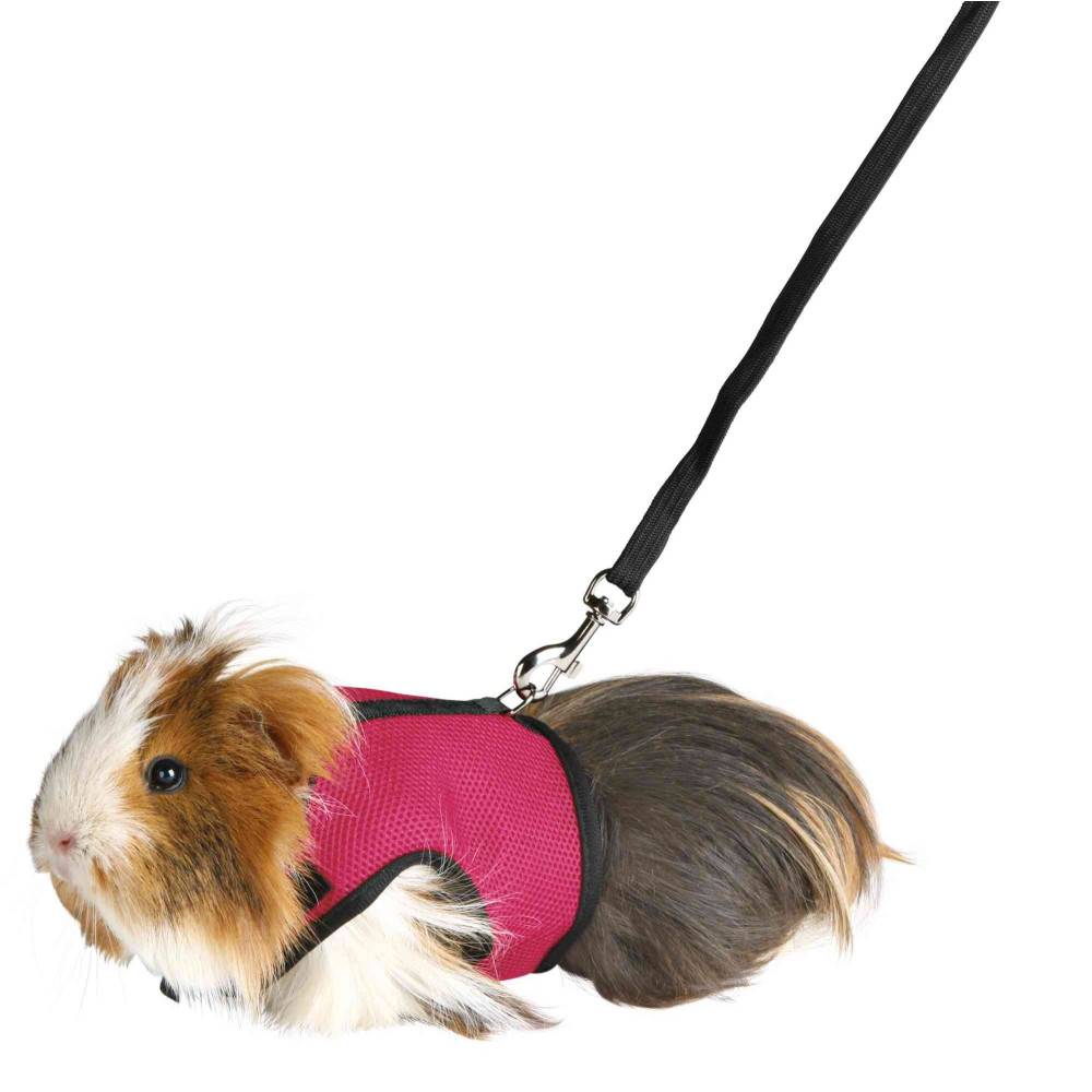 animallparadise - Harnais doux avec laisse 1.2 m couleur aléatoire pour cochons d'inde - Image 1