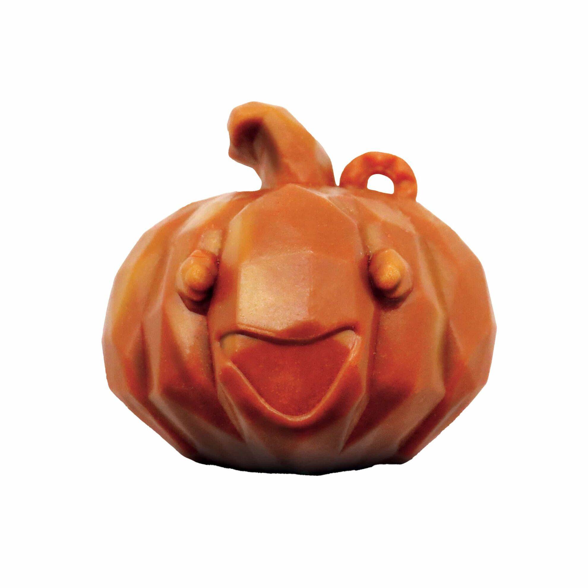 Snack Chien Fright Citrouille 100G CROCI