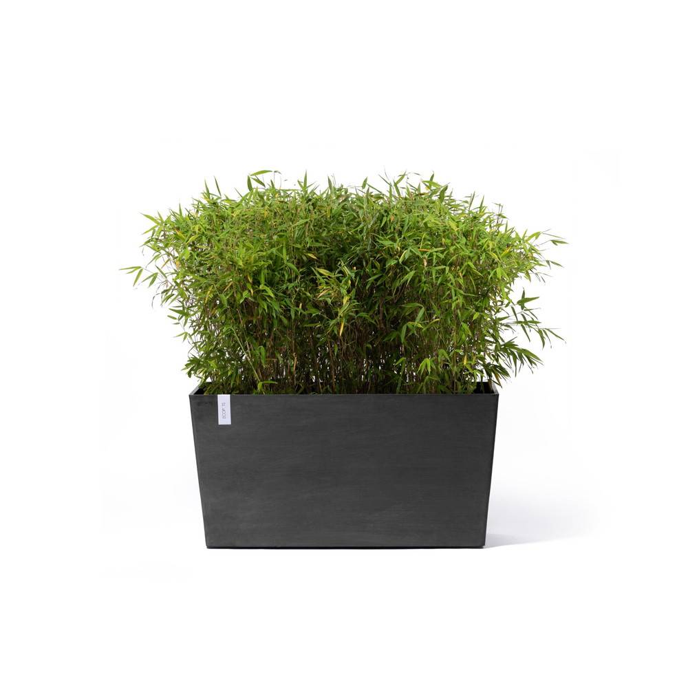 Ecopots - Jardinière sur roues Paris 100 Gris Foncé - 100 x 40 x H. 50 cm - 137 L ECOPOTS - Image 1