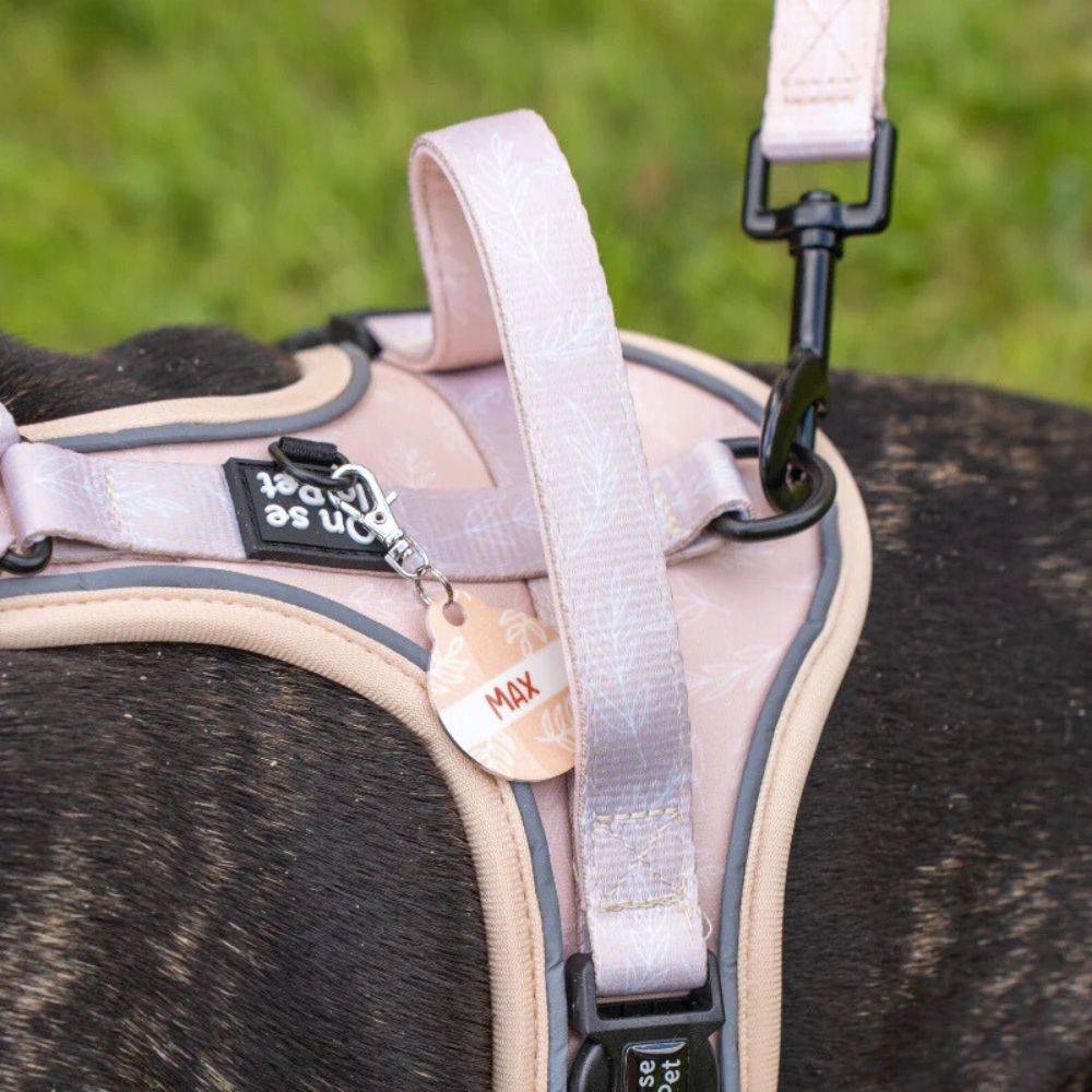 Harnais Premium pour chien confortable – Beige Tropical – On se la Pet - Image 6