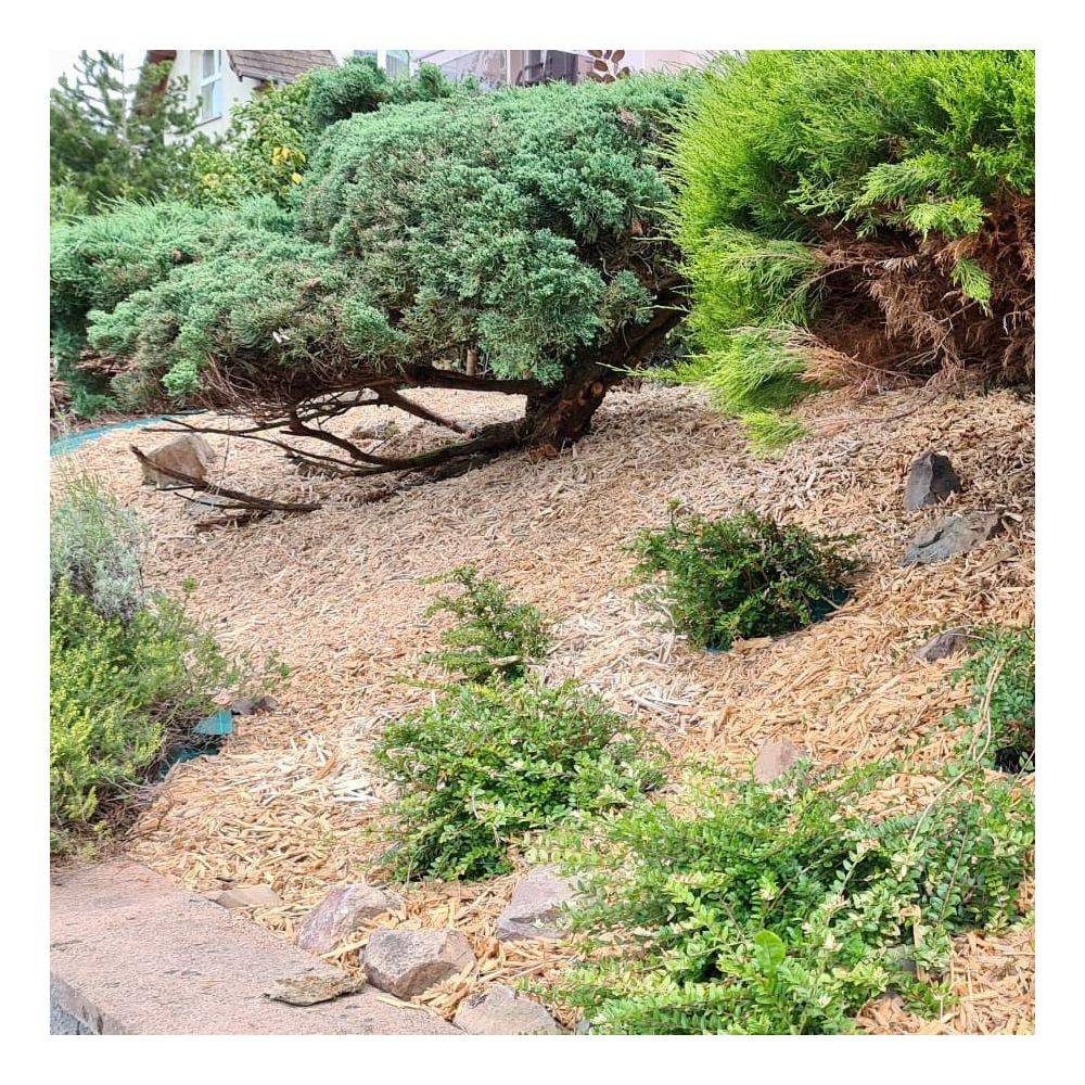 Gueules Des Bois - Mulch paillage couvre sol 125 Litres Naturel - Image 2
