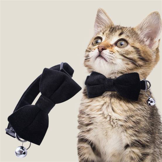 Collier nœud papillon pour chat DtopbuyAge - Image 2