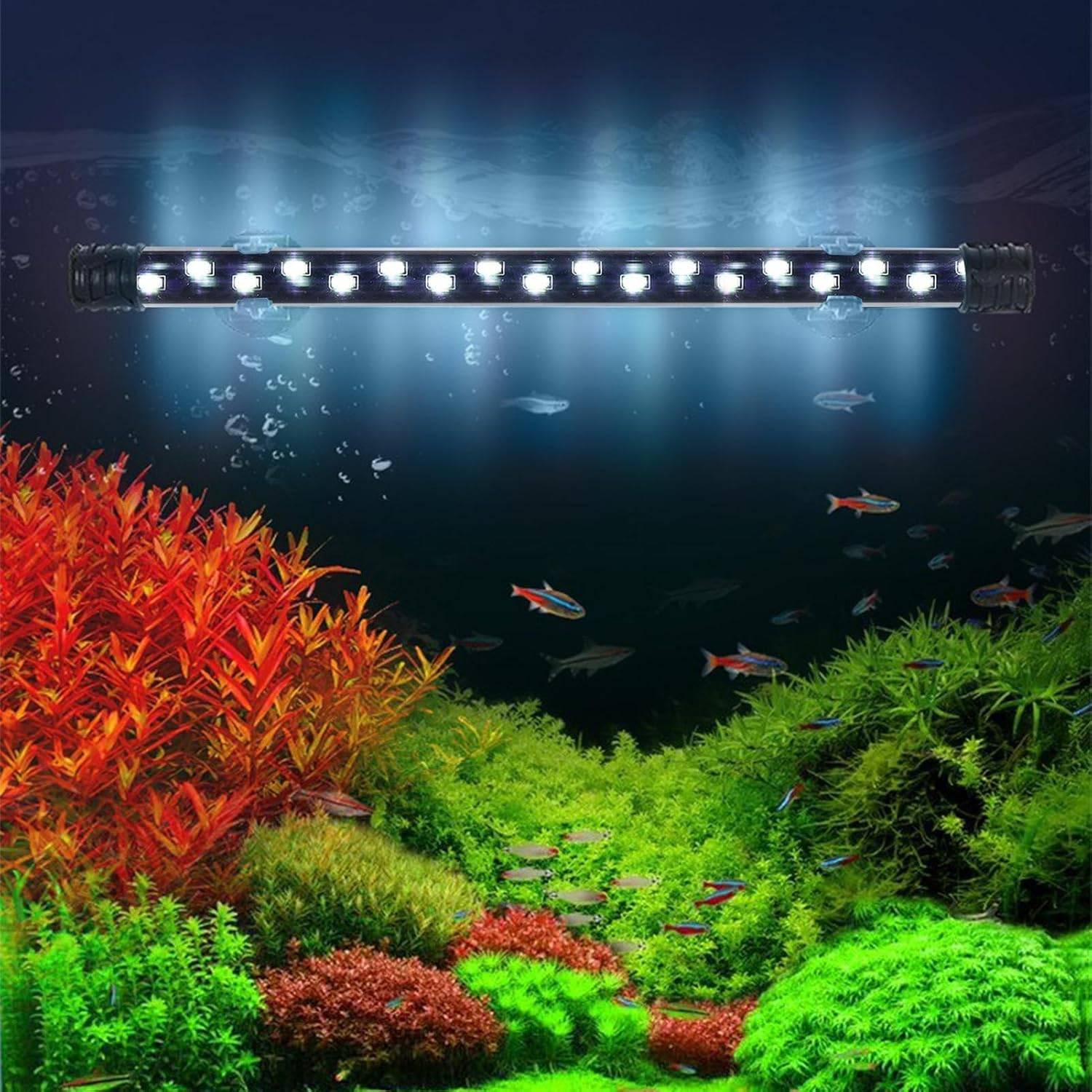 DtopbuyAge - Bande LED Submersible pour Aquarium - Éclairage Étanche S DtopbuyAge - Image 2