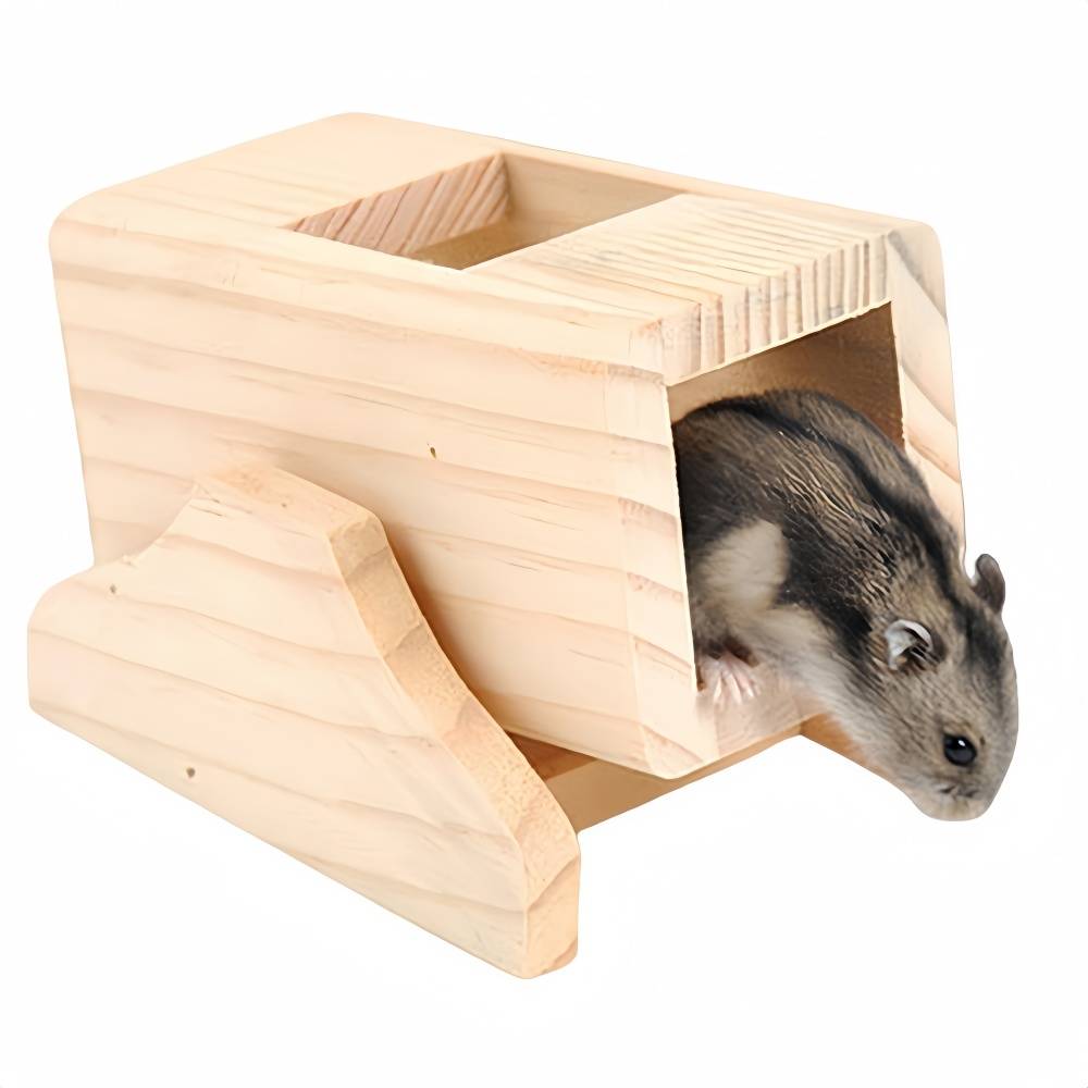 DtopbuyAge - Jouets Pour Hamsters Souris Écureuils DtopbuyAge - Image 1