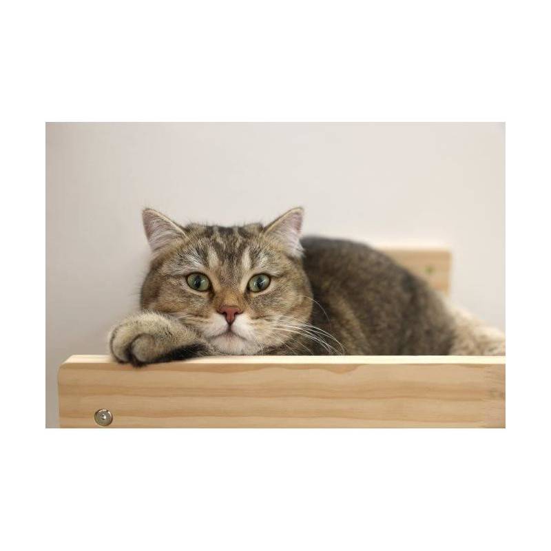 Hamac Mural Pour Chats - Kerbl - Timber - 38 X 33,5 X 16 Cm - Bois Massif - Tissu Peluche - Image 4