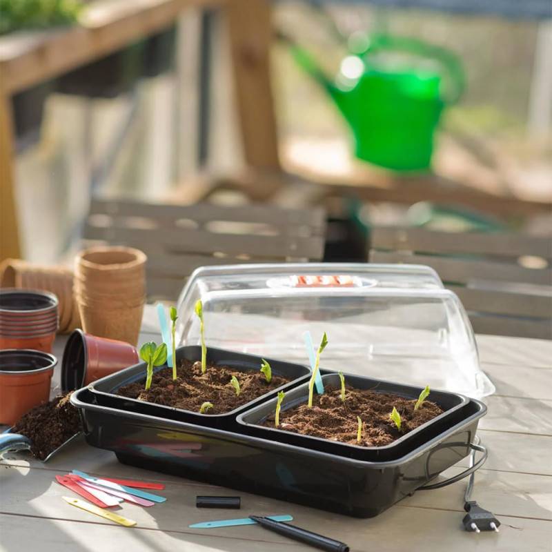 AVCXEC Mini Serre Chauffante 5 Pièces Avec Lumière LED Et Minuterie