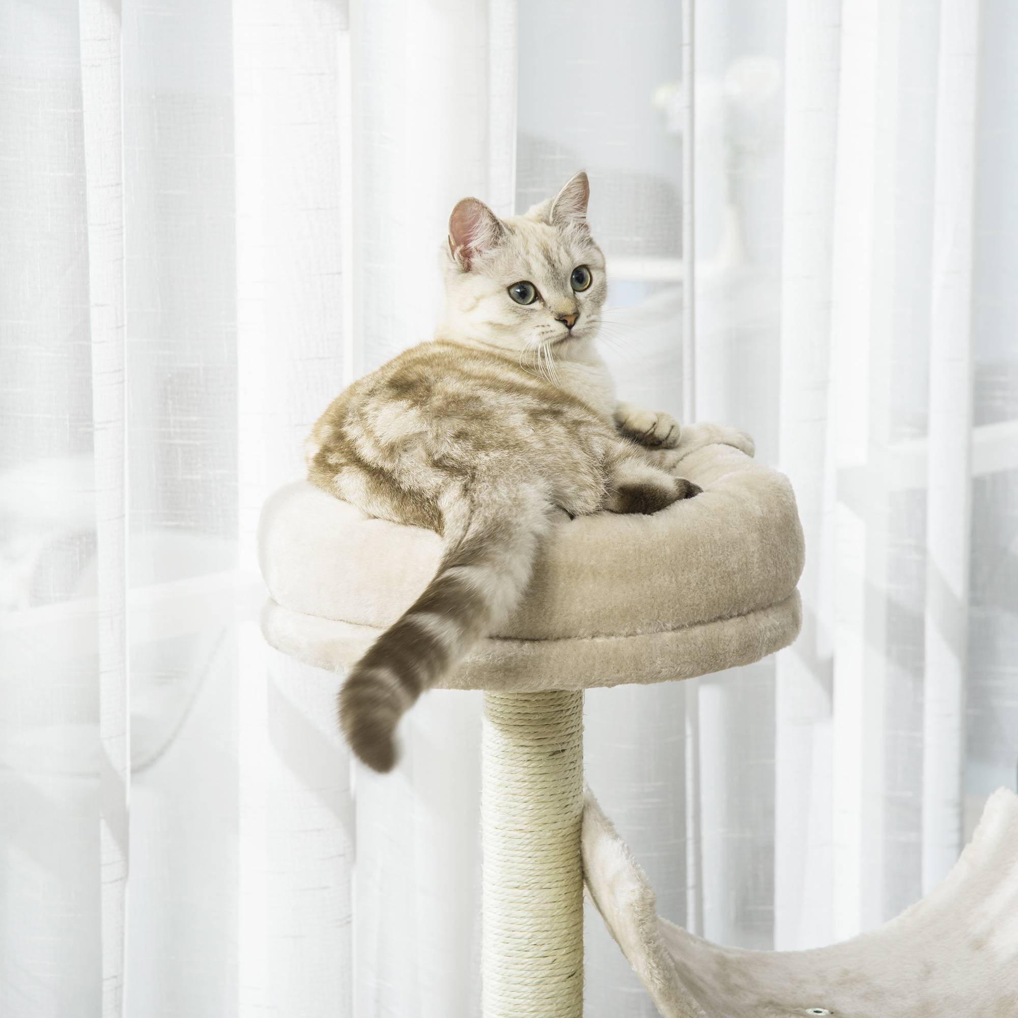 Arbre à gratter pour chat avec jouets et tunnel, bois, beige, 50 x 40 x 105 cm - PANGIVO - Image 8