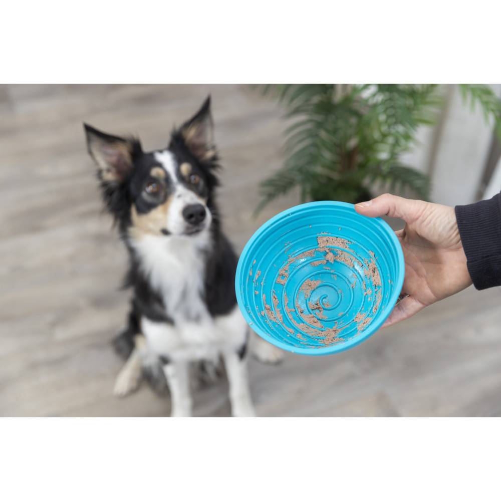 Trixie - Bol à lécher en silicone bleu 16 cm pour chien - Image 6