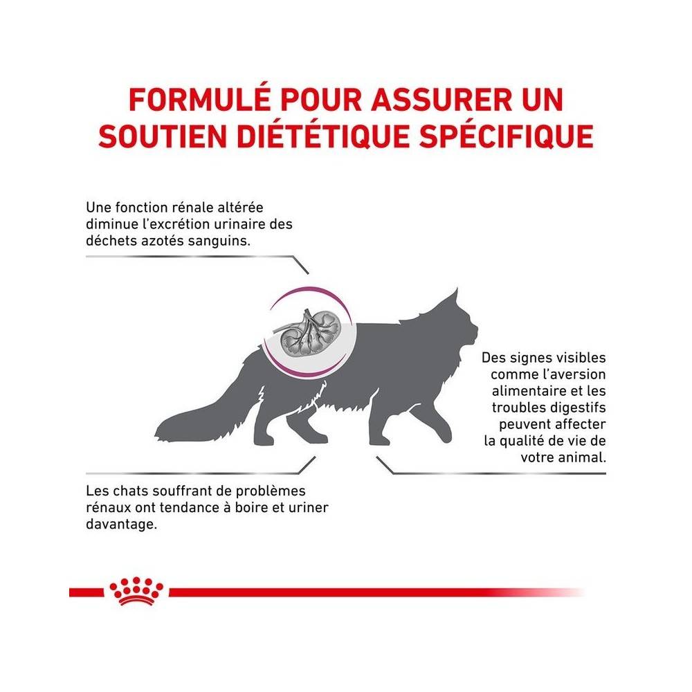 Royal Canin - Croquettes chat VETERINARY CAT RENAL SPECIAL - Royal Canin 400 g - Image 3