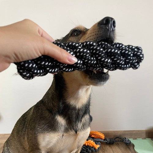 Ensemble de objets pour chiens-10 pièces - Image 8