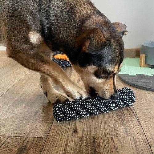 Ensemble de objets pour chiens-10 pièces - Image 7