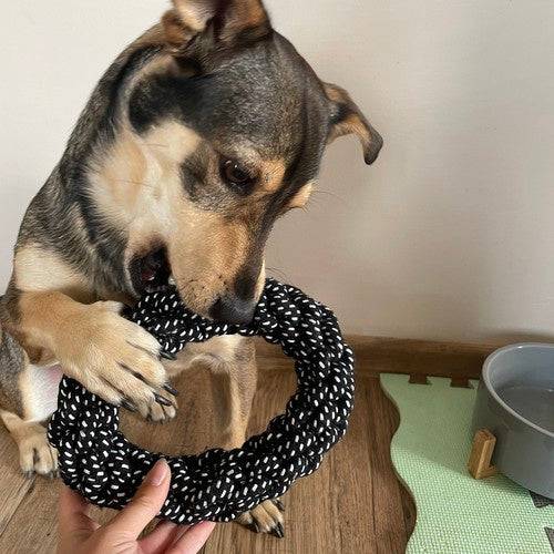 Ensemble de objets pour chiens-10 pièces - Image 10