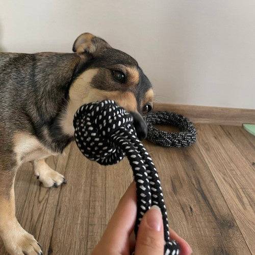 Ensemble de objets pour chiens-10 pièces - Image 9