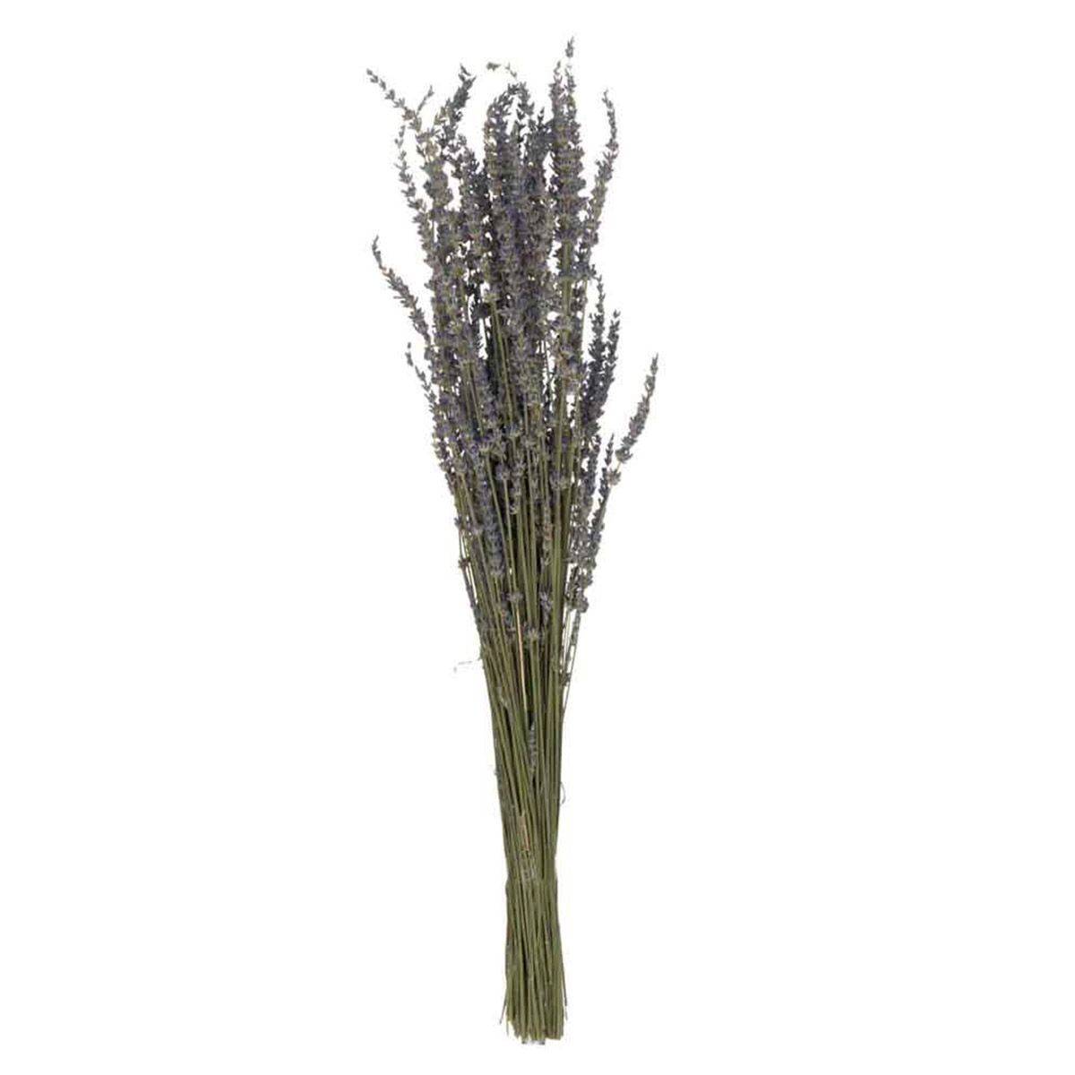 Bouquet de Fleurs Séchées "Lavande" 73cm Mauve