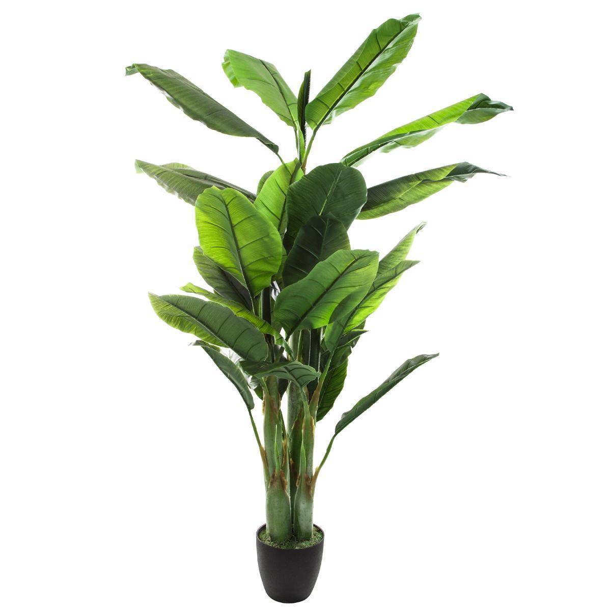 Atmosphera - Bananier artificiel H170cm - Atmosphera Créateur d'intérieur