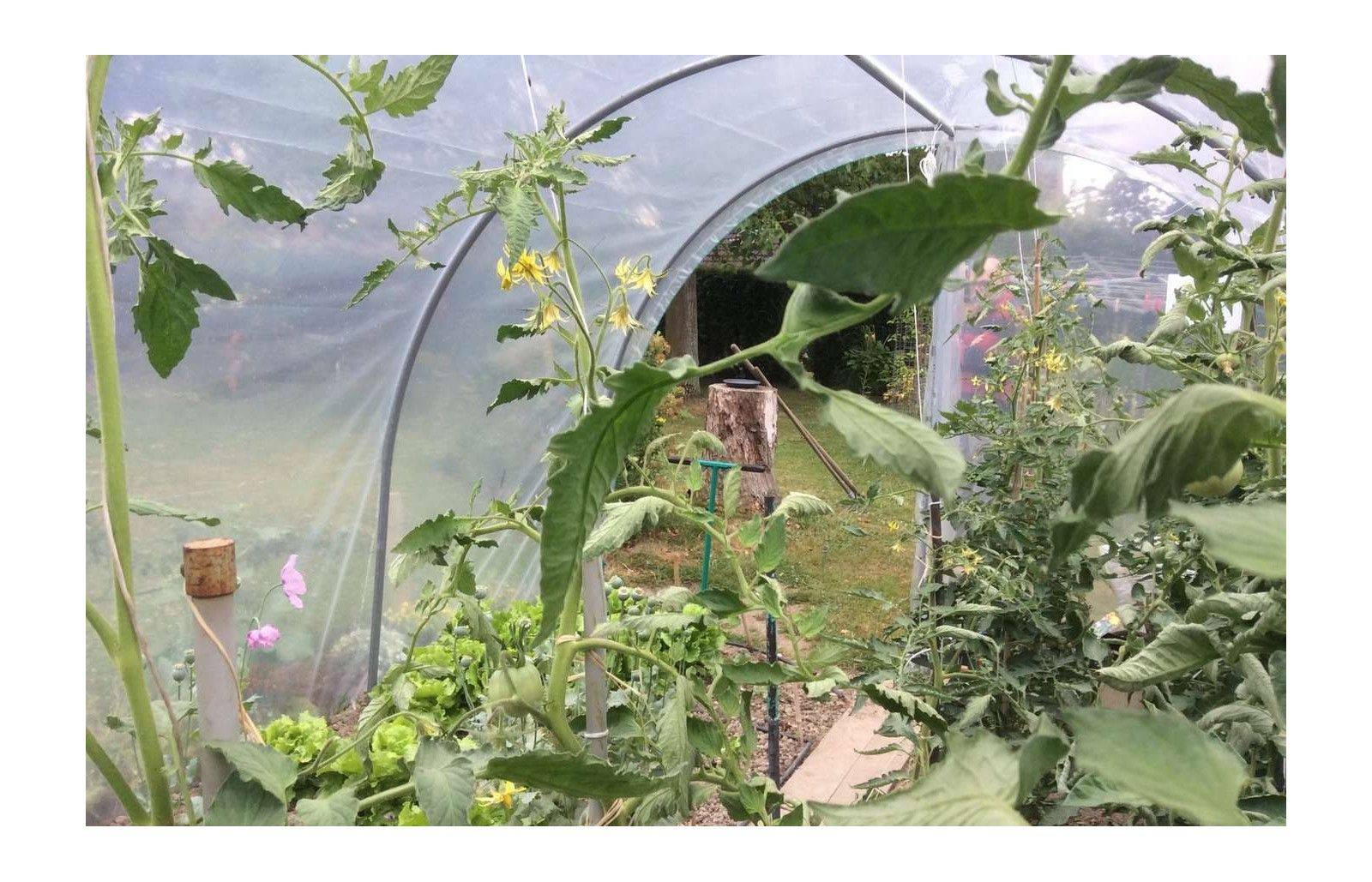 Serre tunnel de jardin - 13,5m² - 3 x 4,5 m - pieds arrondis - polyéthylène haute densité - 2 portes pivotantes - LES SERRES TONNEAU - Image 4
