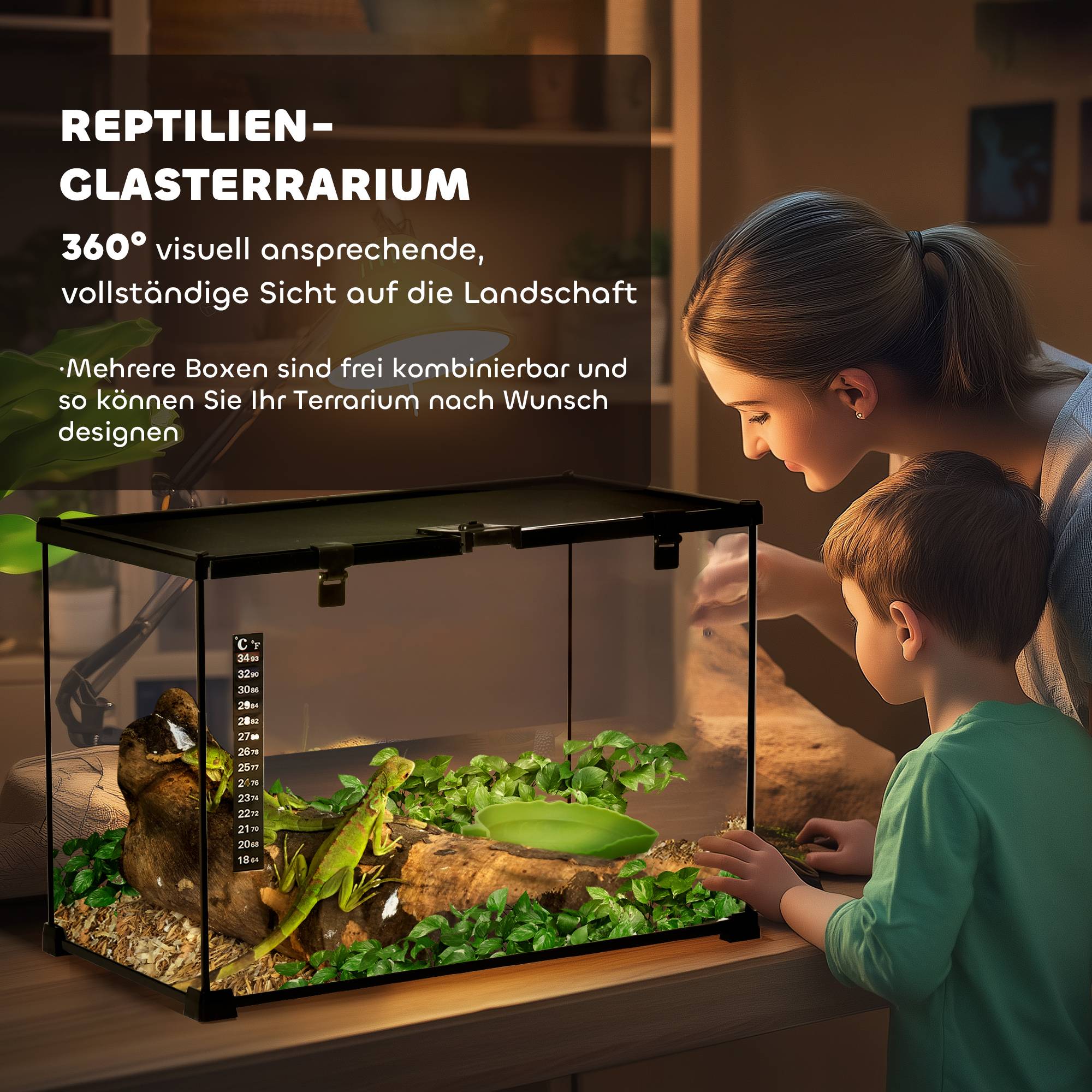 ComfortXL - Terrarium pour reptiles verre et métal 50 x 30 x 35 cm noir ventilation thermomètre et fond étanche pratique - Image 4